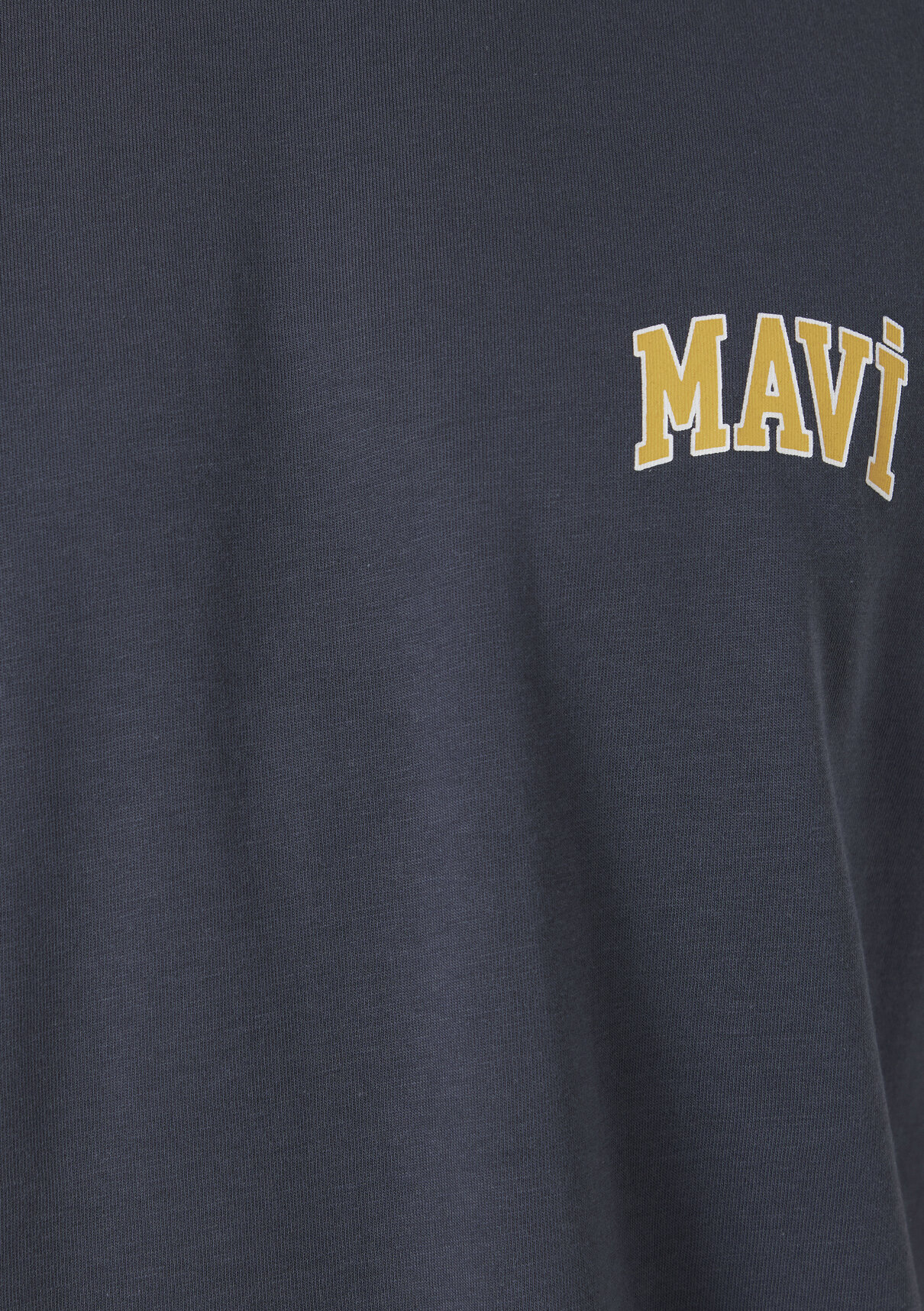 Mavi Logo Baskılı Gri Tişört görsel 7