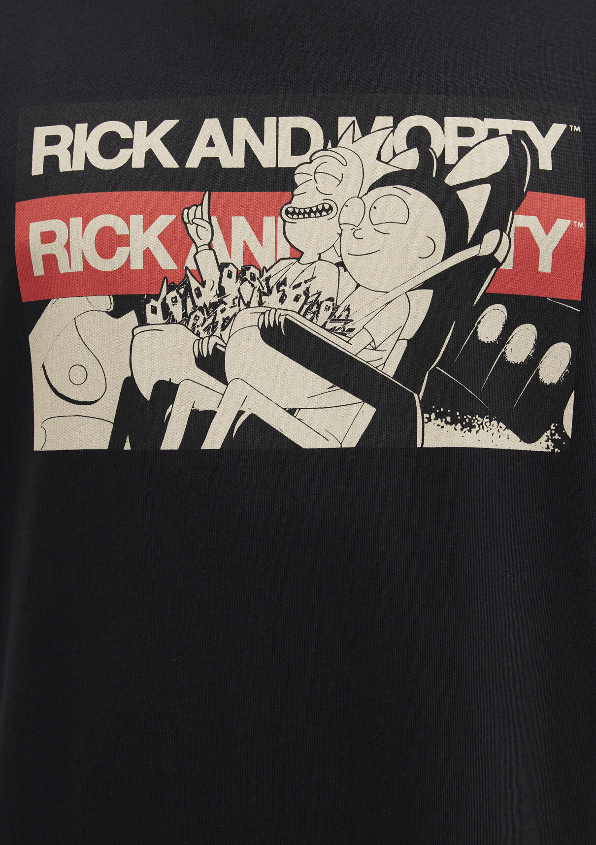 Mavi Rick And Morty Baskılı Siyah Tişört görsel 7