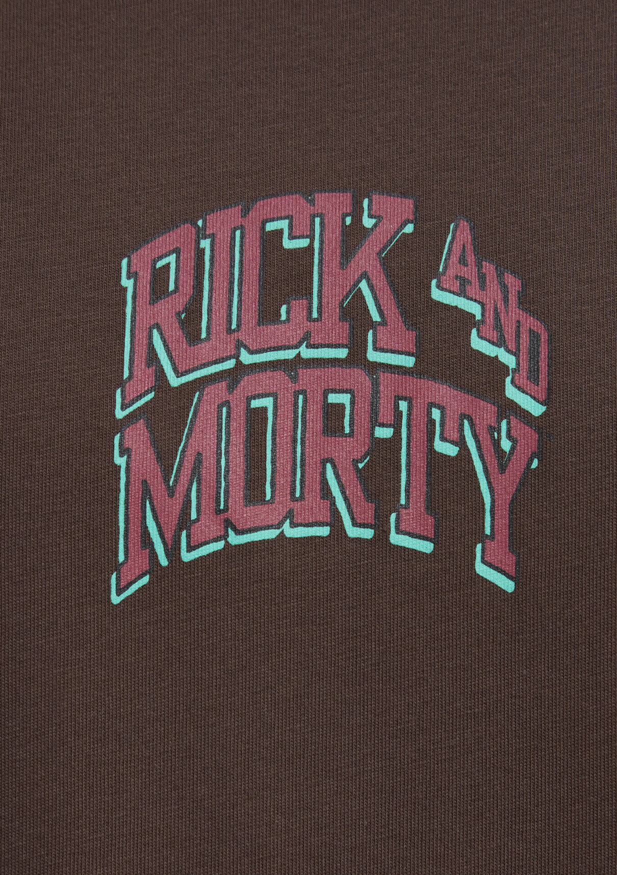 Mavi Rick and Morty Baskılı Kahverengi Tişört görsel 7