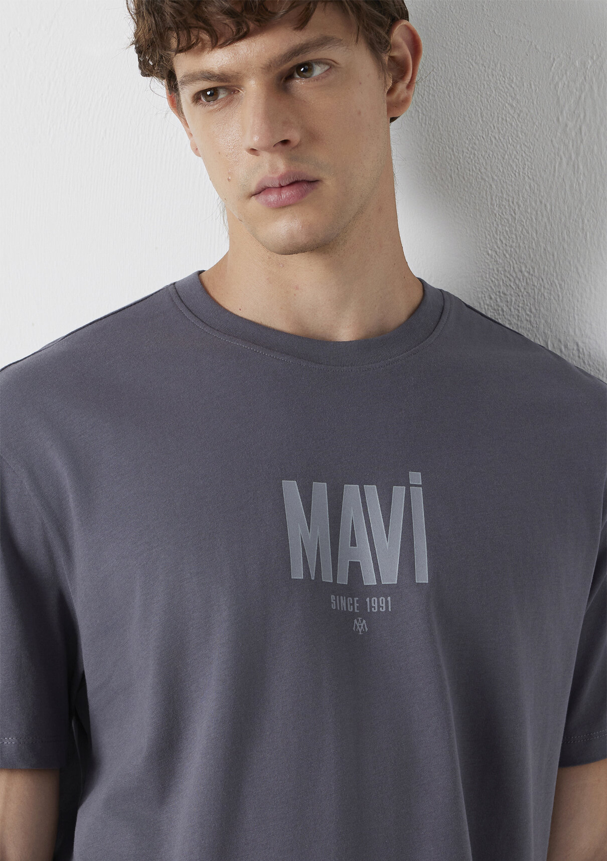 Mavi Logo Baskılı Gri Tişört görsel 3