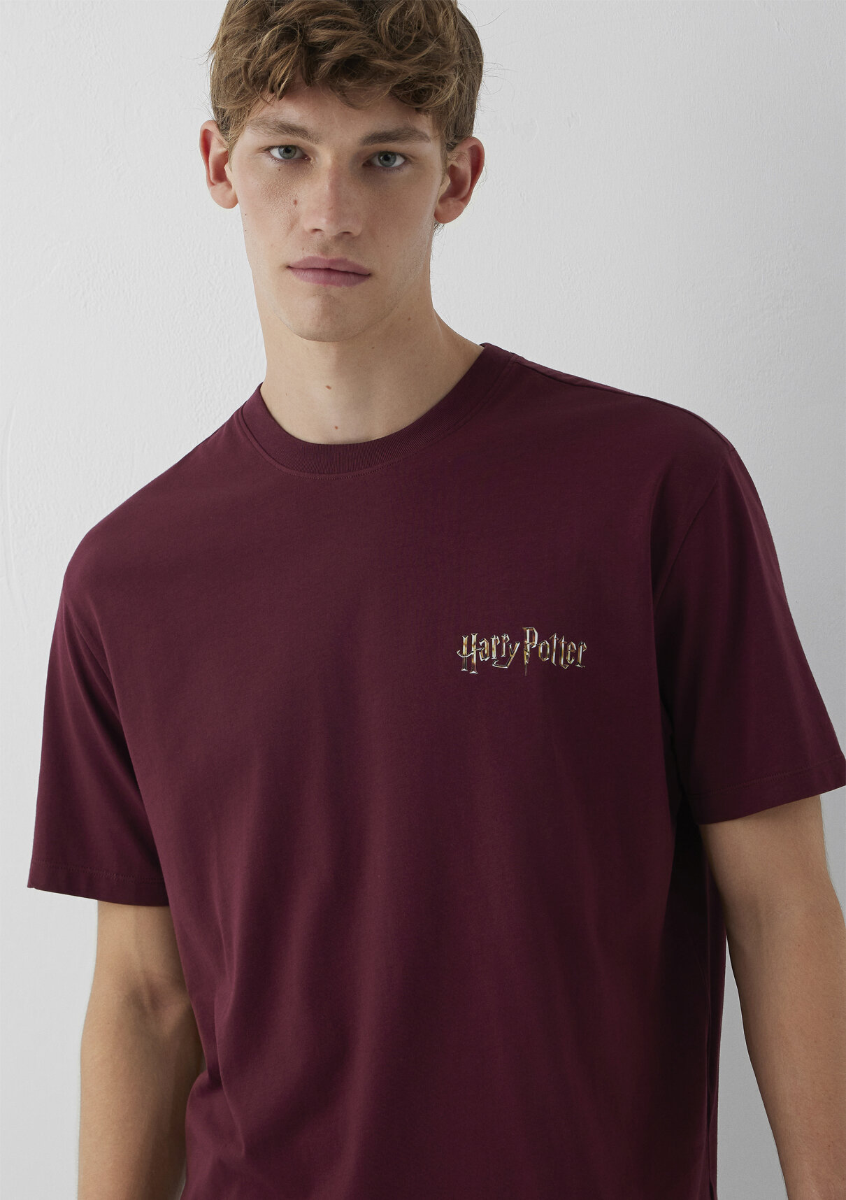 Mavi Harry Potter Baskılı Bordo Tişört görsel 2