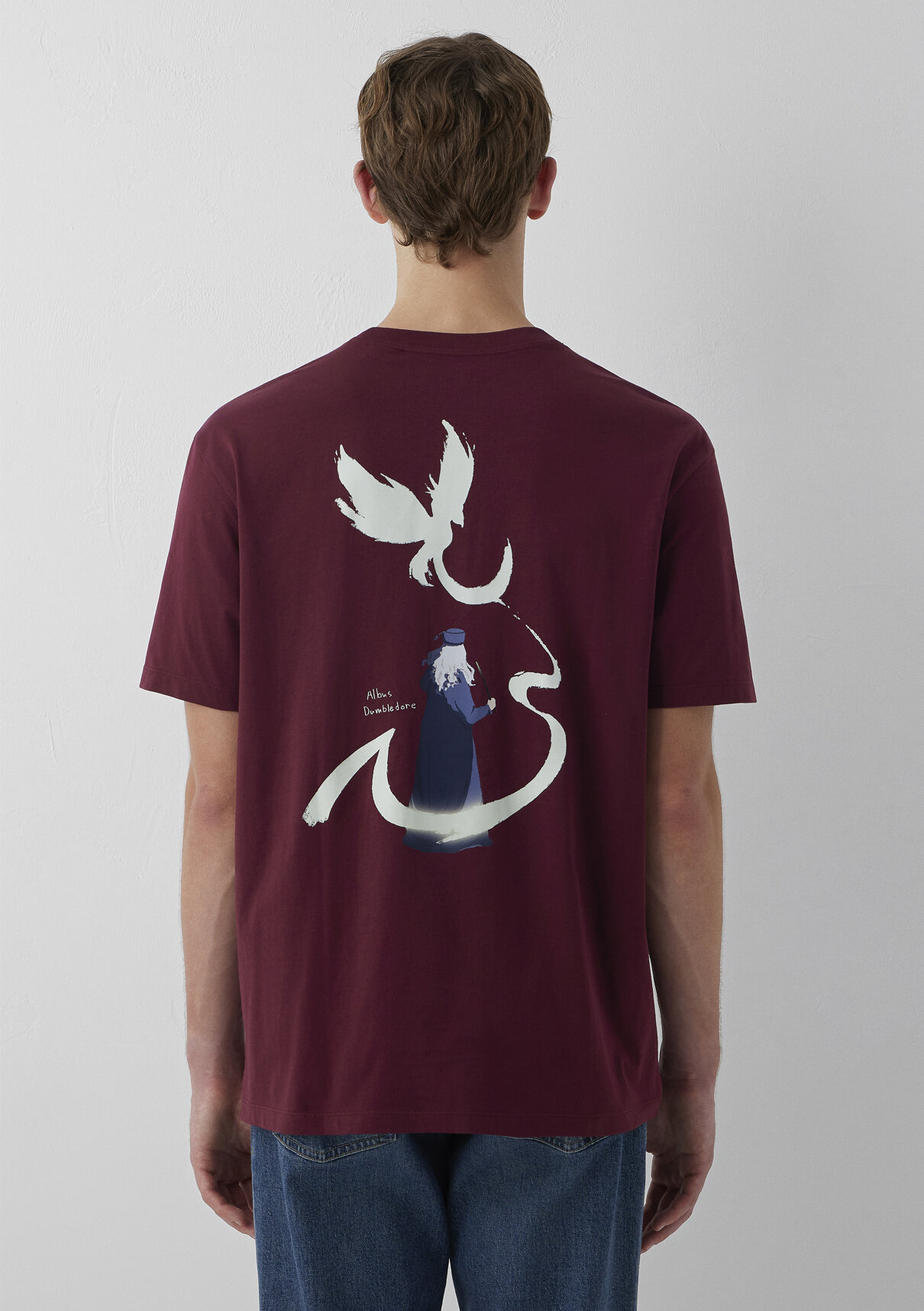 Mavi Harry Potter Baskılı Bordo Tişört görsel 5