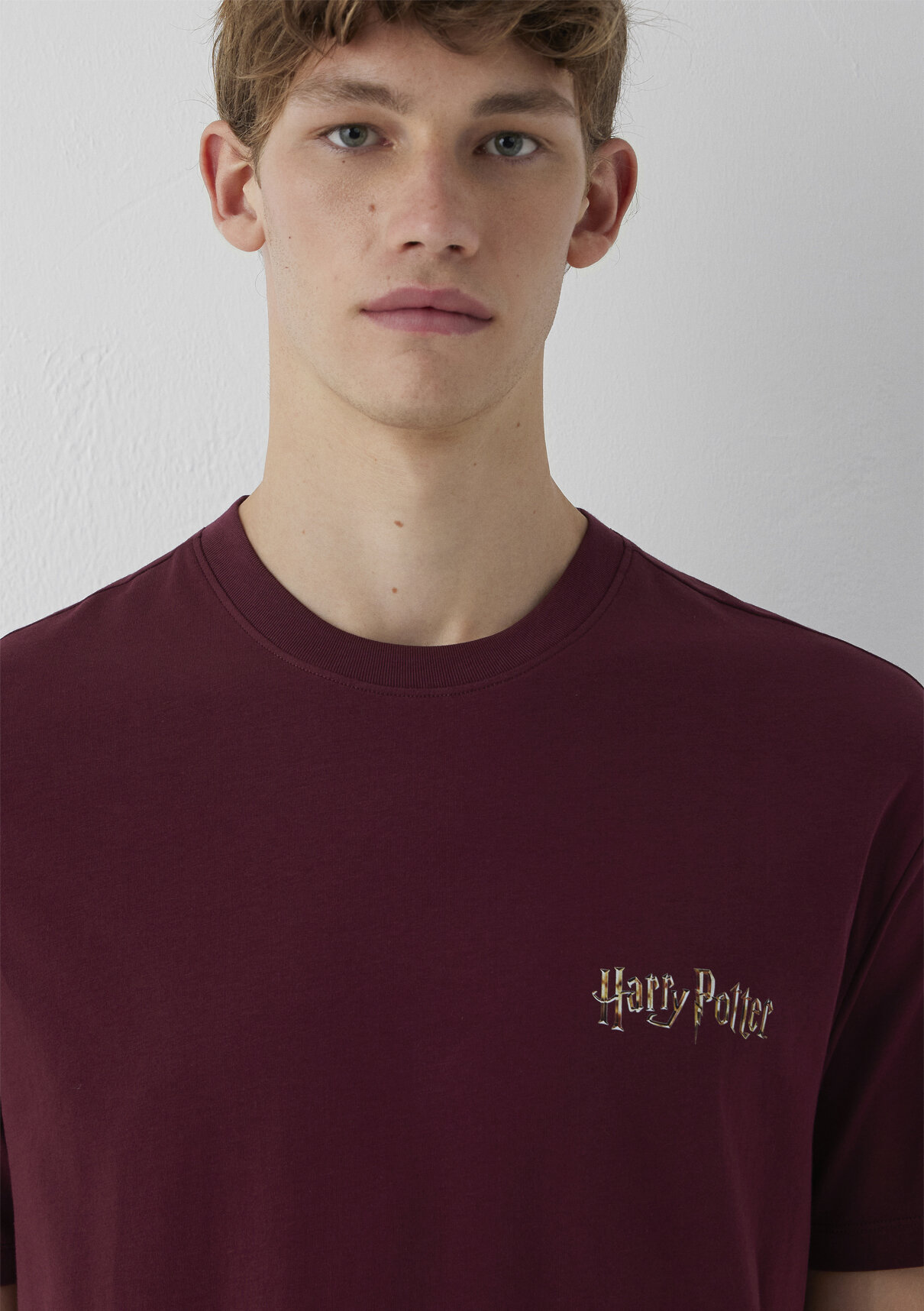 Mavi Harry Potter Baskılı Bordo Tişört görsel 6