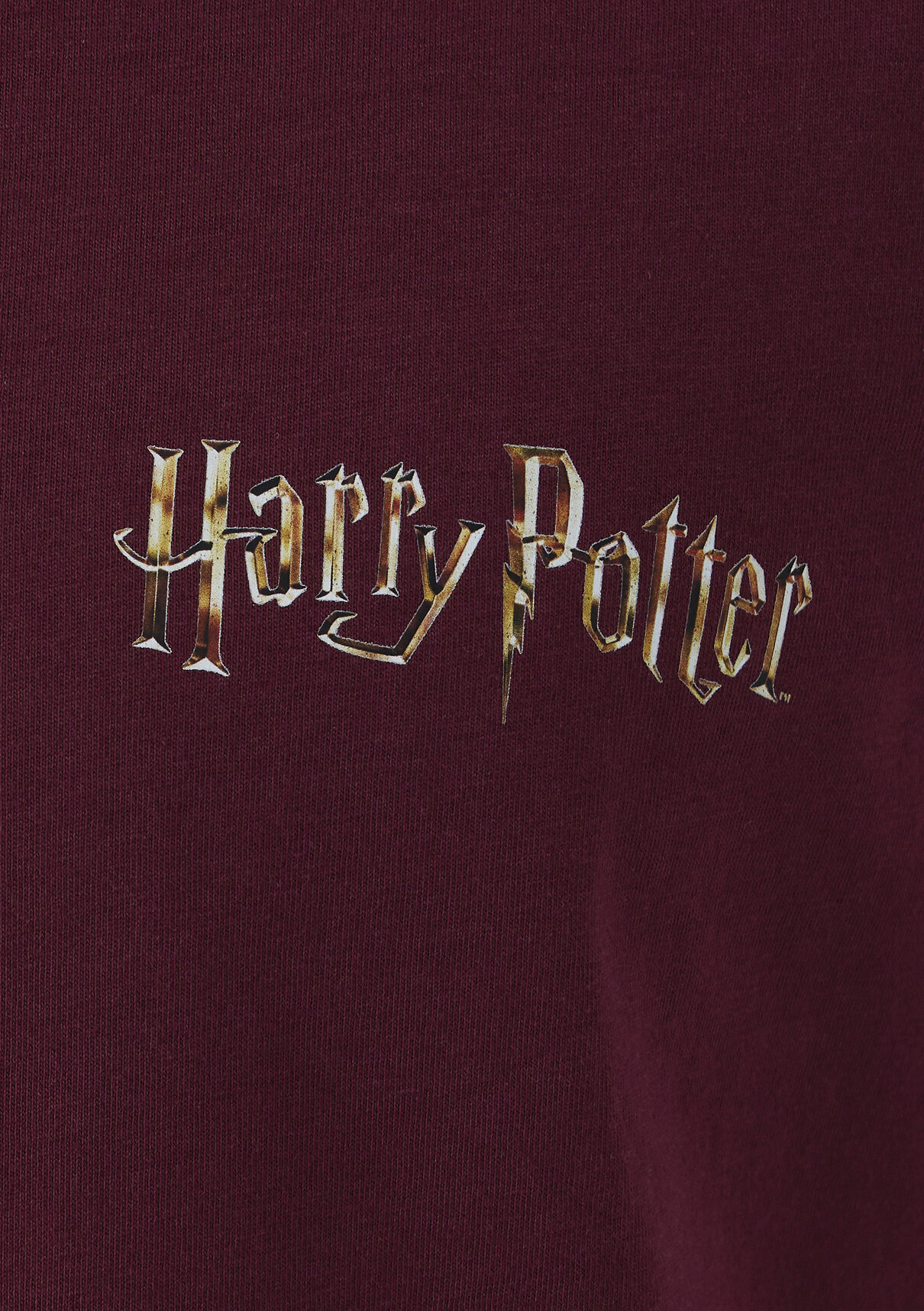 Mavi Harry Potter Baskılı Bordo Tişört görsel 7