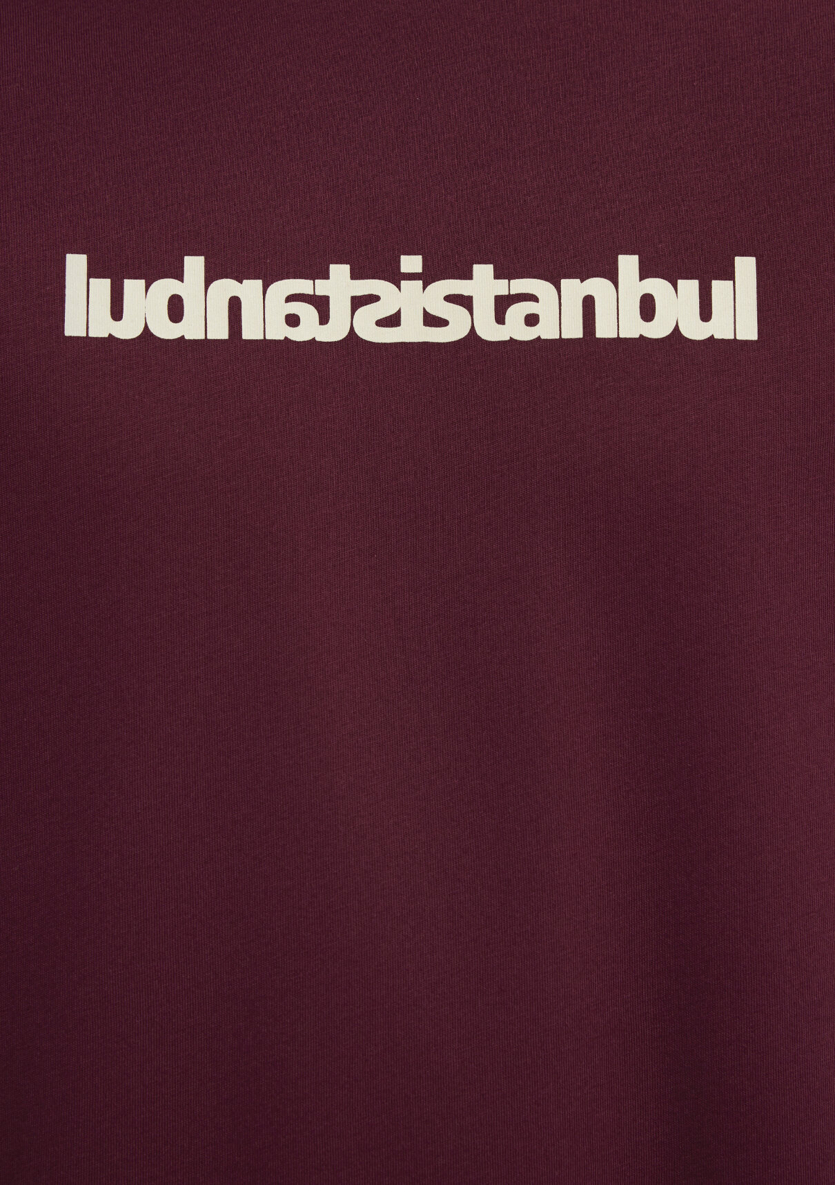 Mavi İstanbul Baskılı Bordo Tişört görsel 8