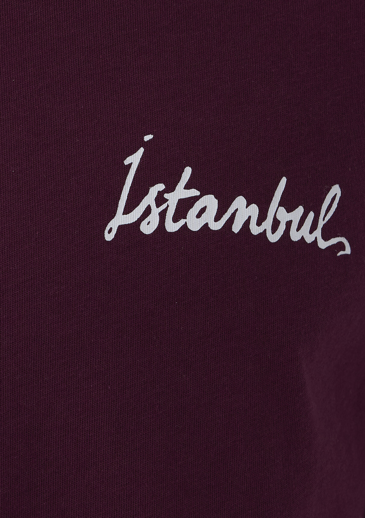 Mavi İstanbul Baskılı Bordo Tişört görsel 8