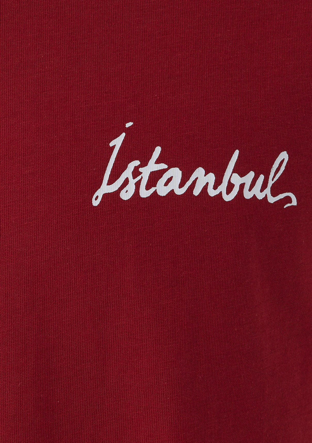 Mavi İstanbul Baskılı Kırmızı Tişört görsel 7
