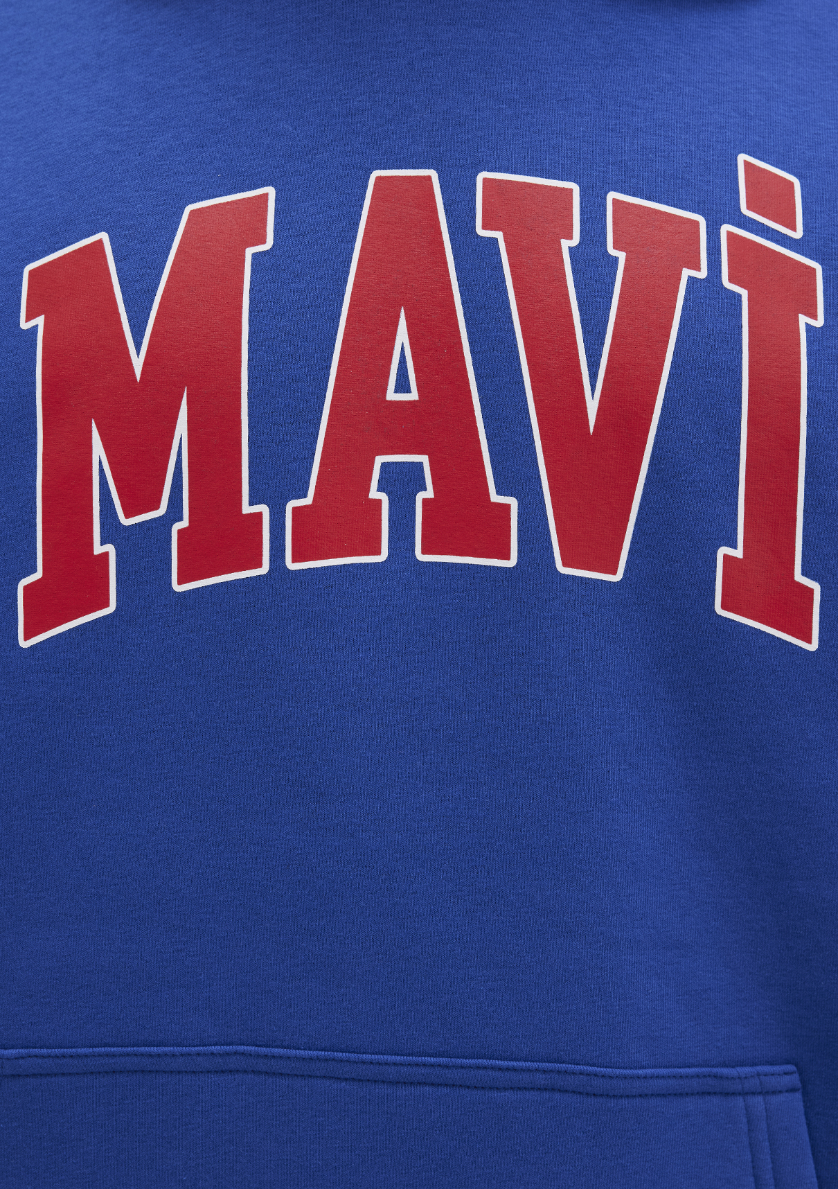 Mavi Logo Baskılı Kapüşonlu Mavi Sweatshirt görsel 6