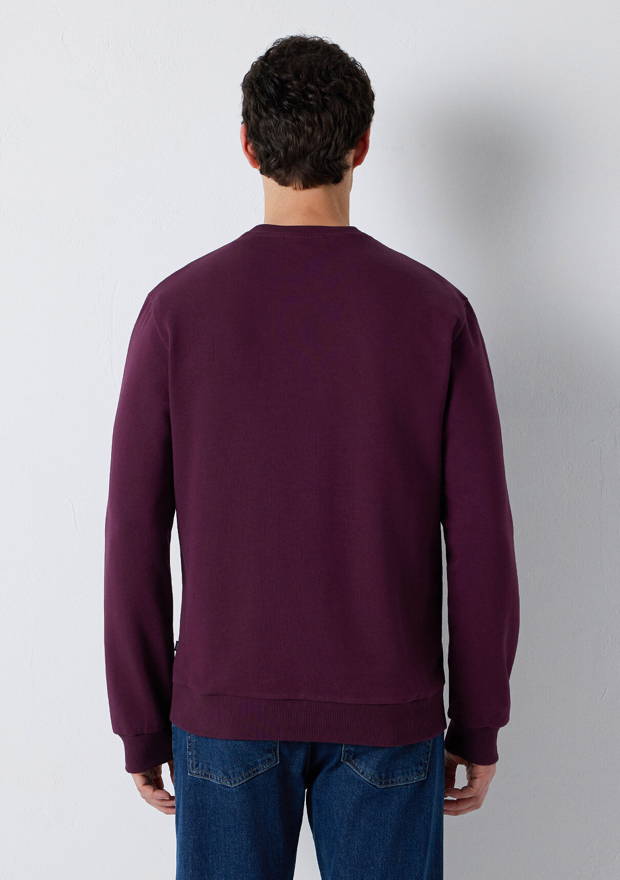 Mavi Bisiklet Yaka Mor Basic Sweatshirt görsel 5