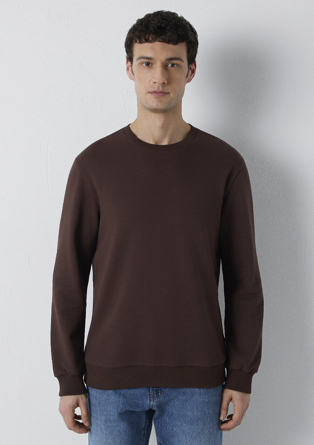Mavi Bisiklet Yaka Kahverengi Basic Sweatshirt görsel 3