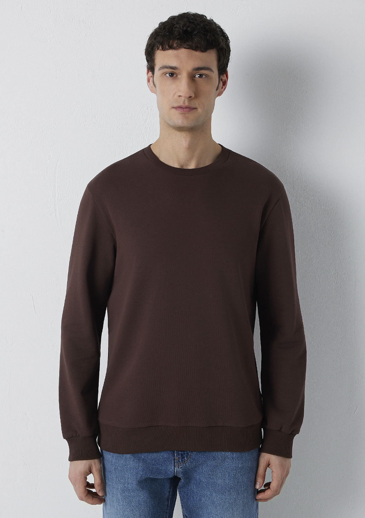 Mavi Bisiklet Yaka Kahverengi Basic Sweatshirt görsel 3