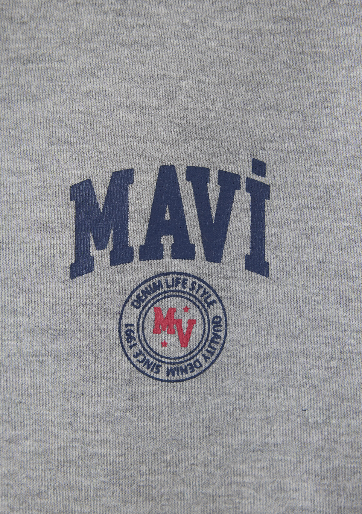 Mavi Logo Baskılı Kapüşonlu Gri Sweatshirt görsel 7