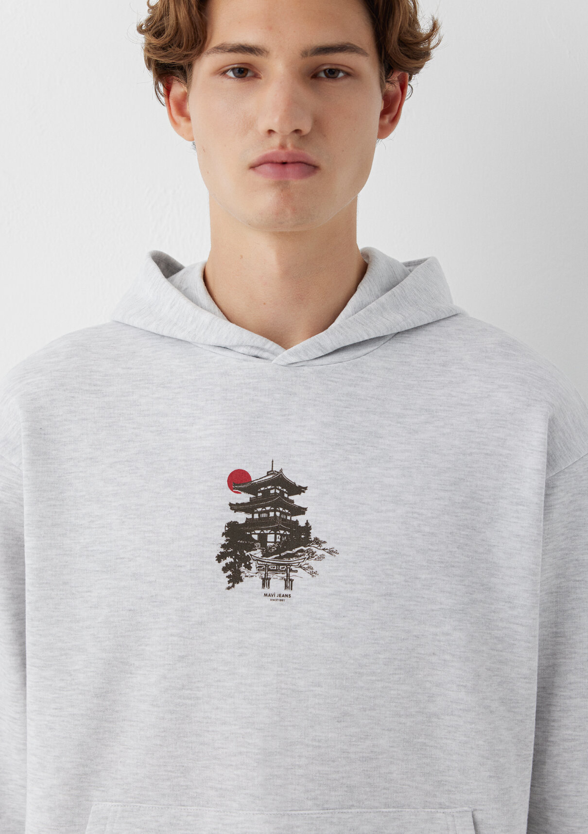 Mavi Japonya Temalı Kapüşonlu Gri Sweatshirt görsel 6