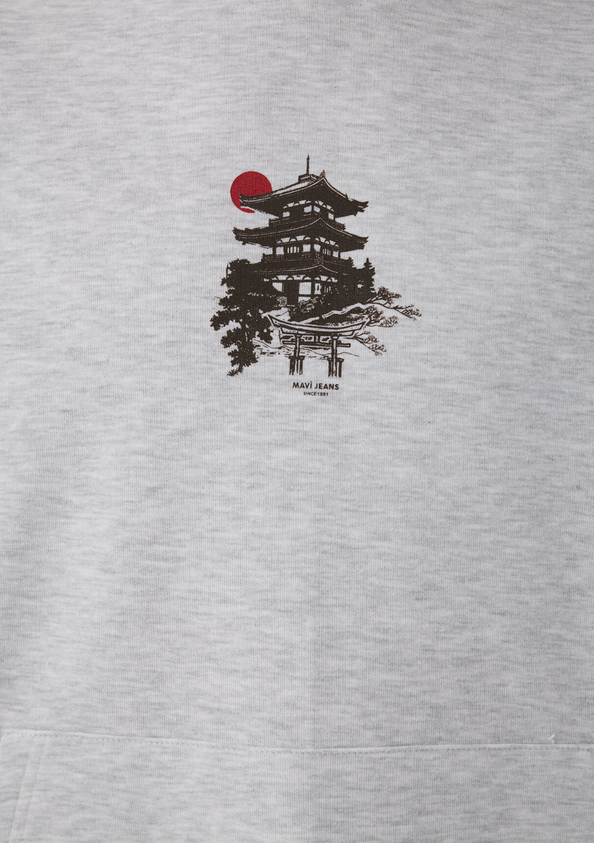Mavi Japonya Temalı Kapüşonlu Gri Sweatshirt görsel 7