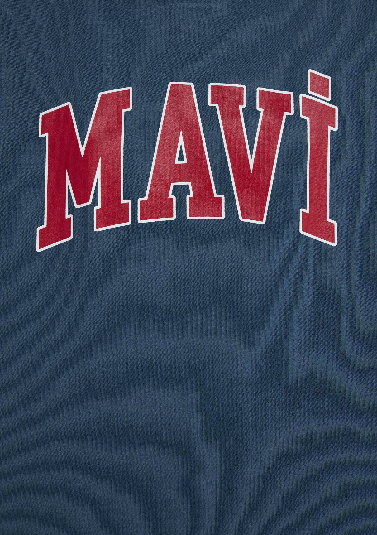 Mavi Logo Baskılı Mavi Tişört görsel 7