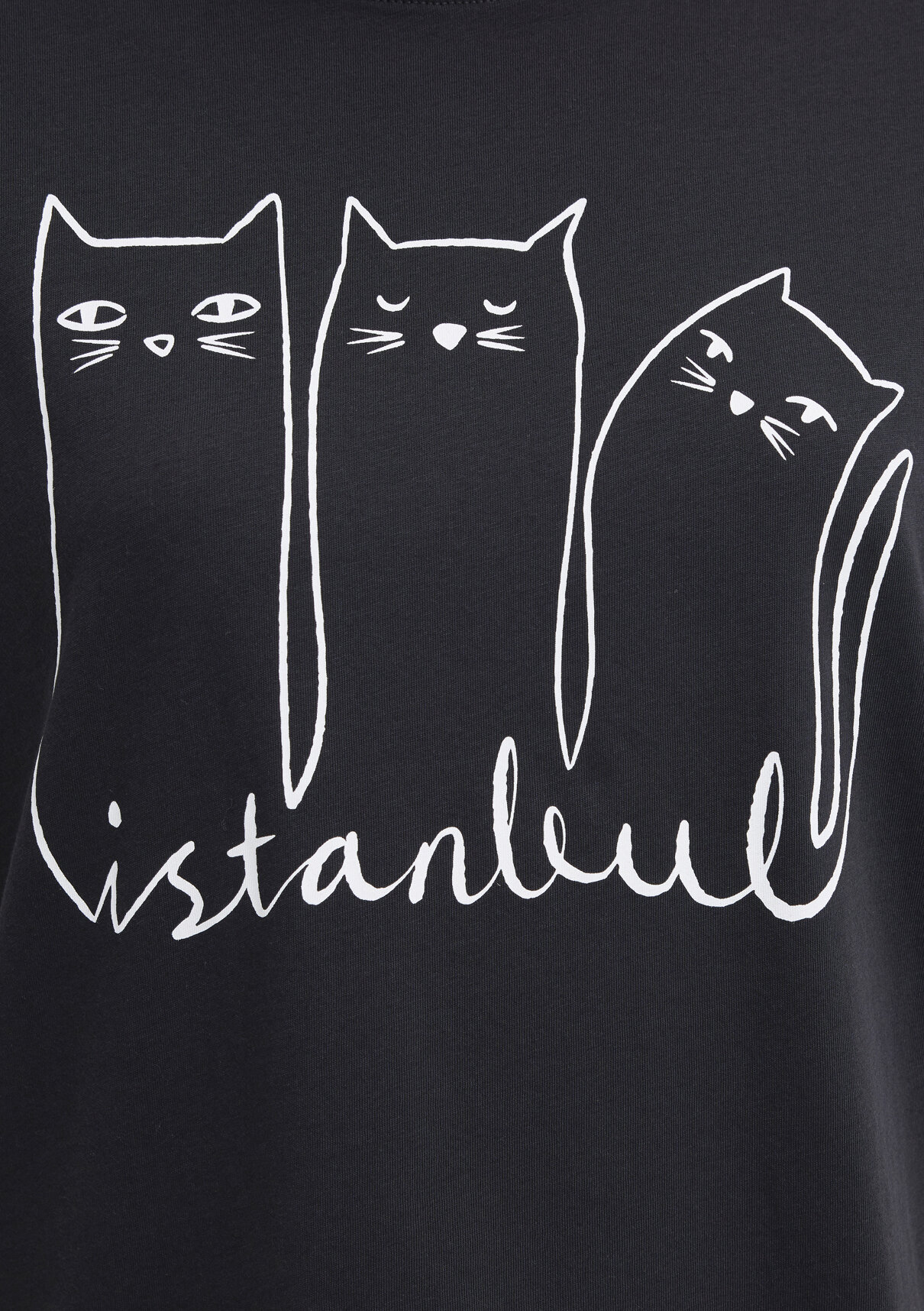 Mavi Kedi Baskılı Antrasit İstanbul Tişört görsel 7