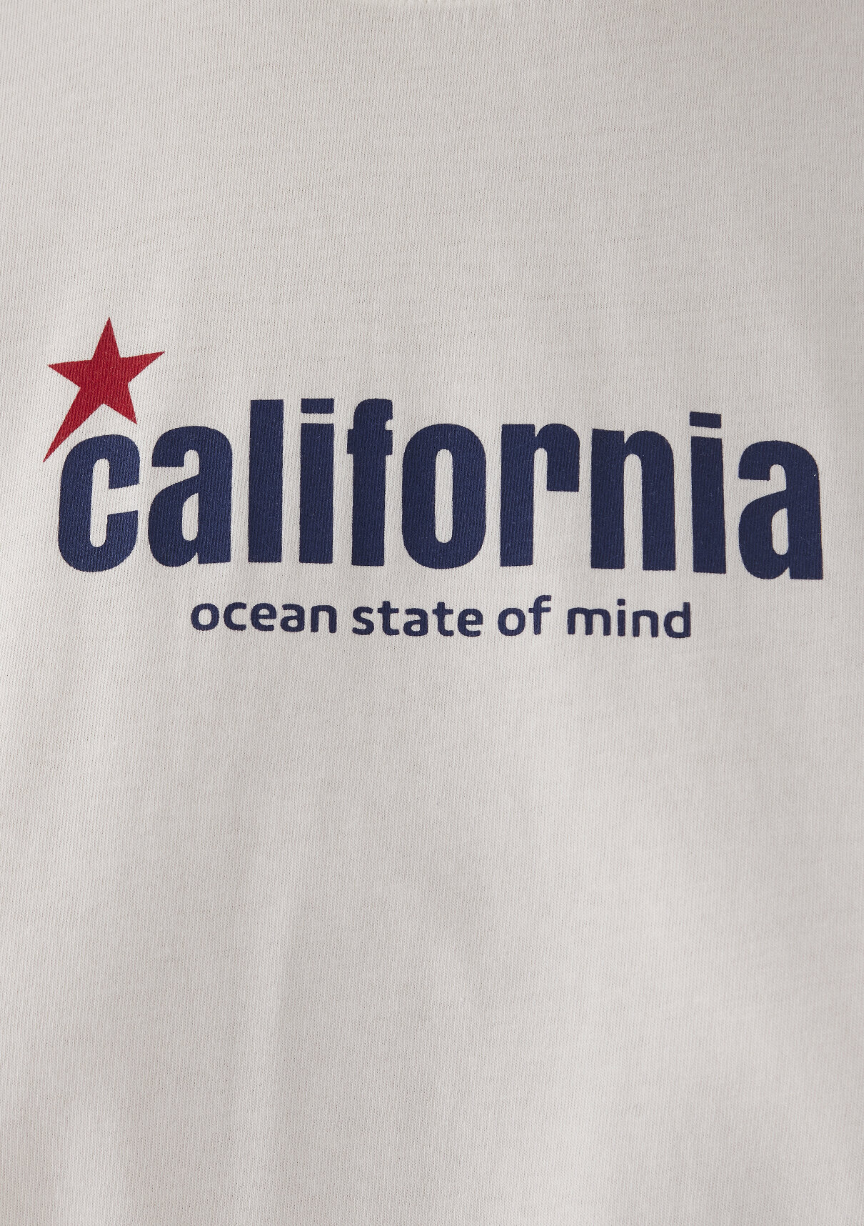 Mavi California Baskılı Ekru Tişört görsel 8