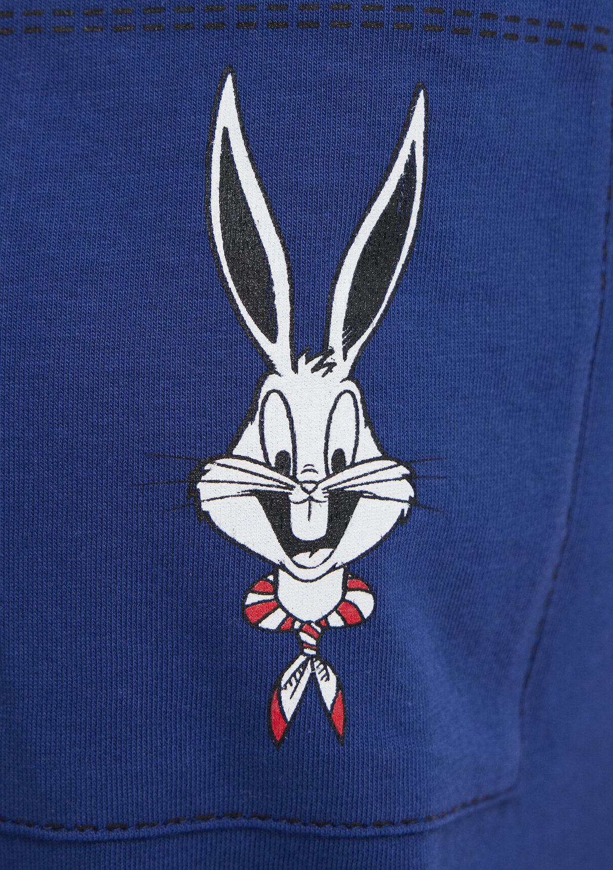 Mavi Bugs Bunny Baskılı Mavi Tişört görsel 7