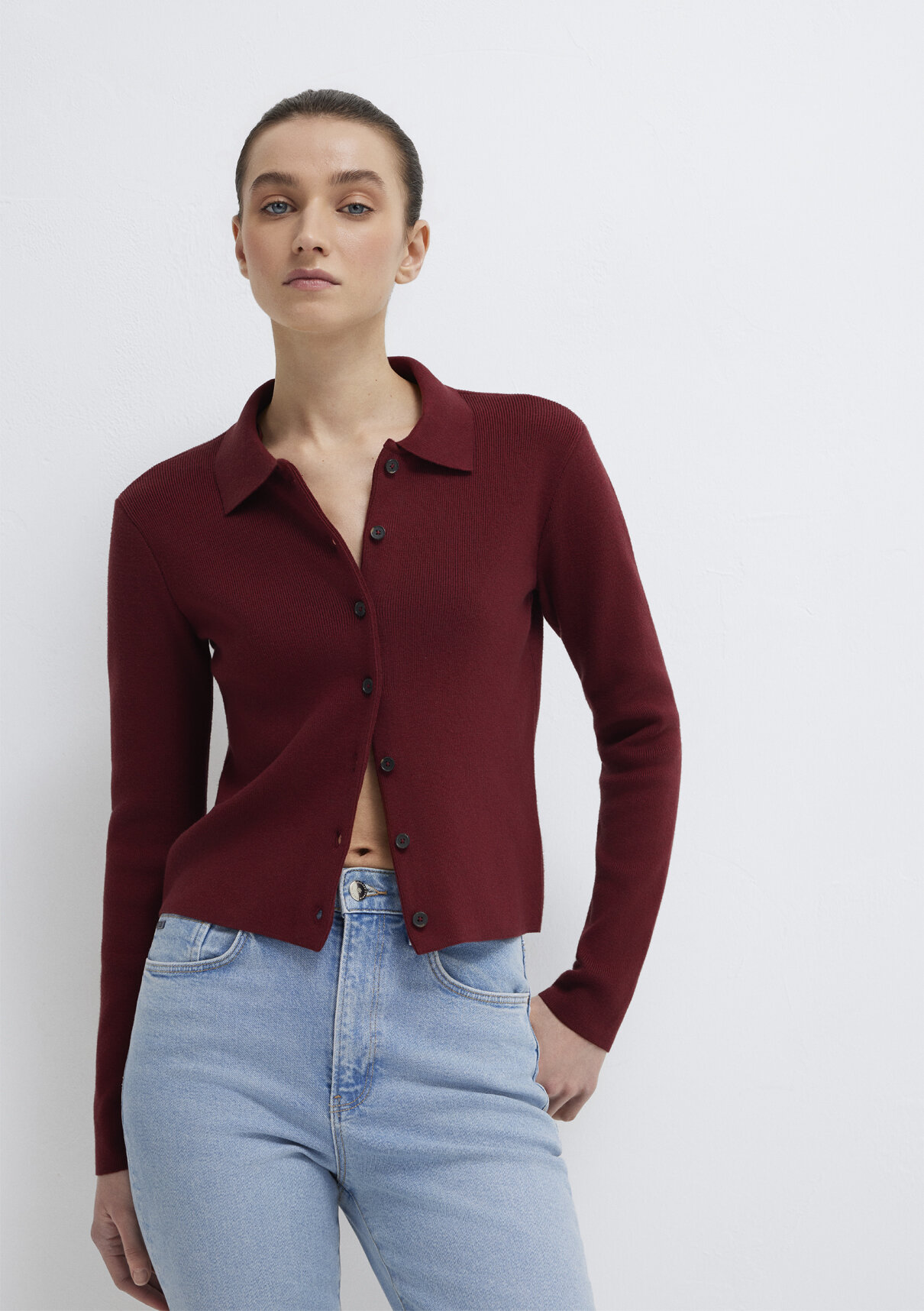 Mavi Polo Yaka Bordo Hırka görsel 2