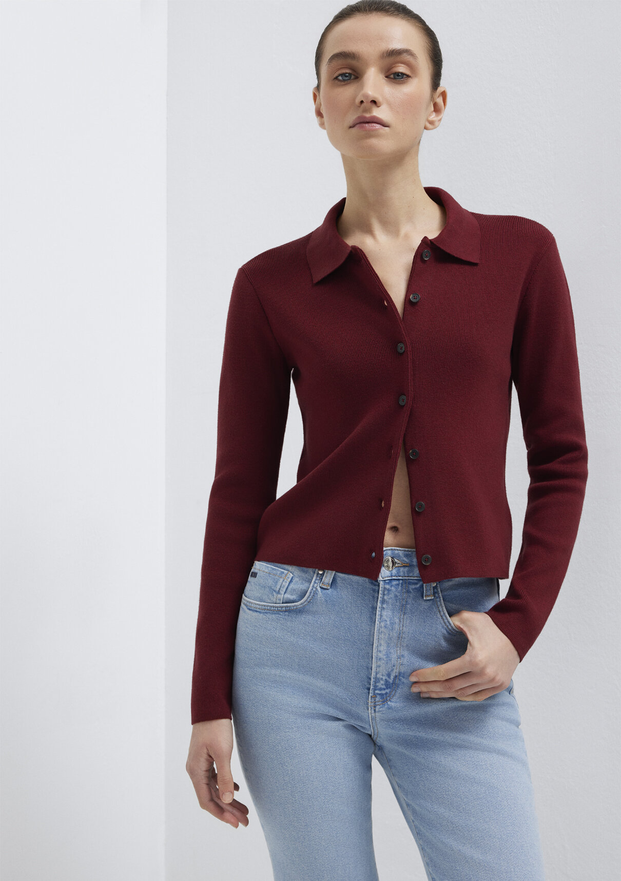 Mavi Polo Yaka Bordo Hırka görsel 4