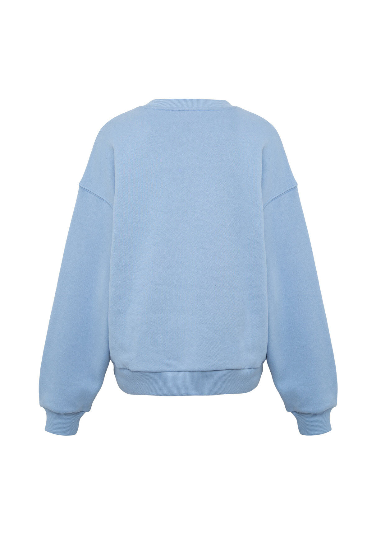 Mavi Logo Baskılı Mavi Sweatshirt görsel 6