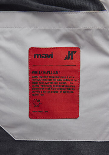 Mavi